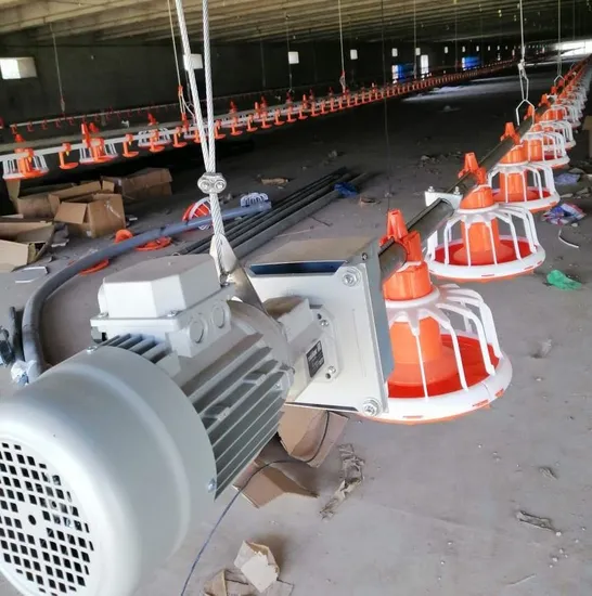 Automatic Poultry House Feeding Equipment for Broiler Feed Line System
