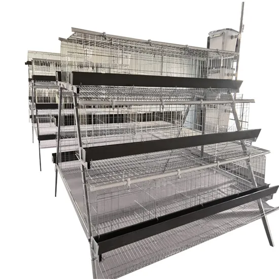 Premium Galvanized Chicken Layer Cage System for Longevity in South Africa