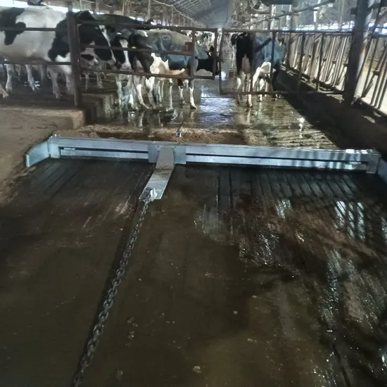 Three-Axis Corner Wheels Manure Scraper for Efficient Cow Waste Removal