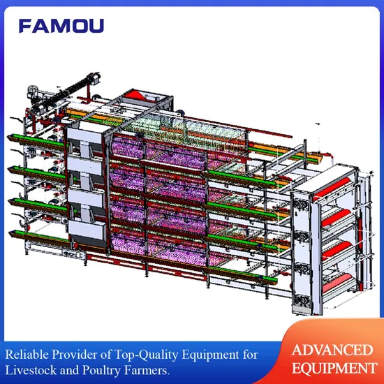 Advanced Poultry Farming Layer Chicken Cage System for Easy Operation
