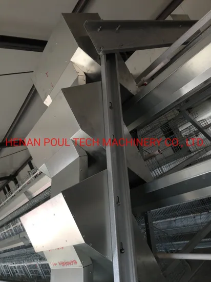 Egg Collection System Poultry Farm Equipment Layer Cage on Sale