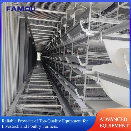 Complete Automatic Layer Cage System for High-Quality Poultry Supplies