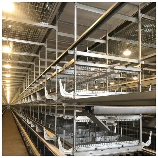 Hot Selling Intelligent H-Type 30, 000 Chicken Cage Breeding Equipment