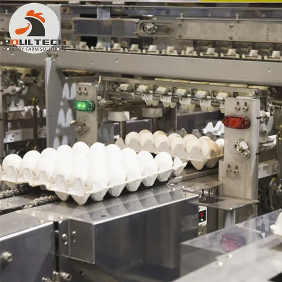 Egg Processing Machines Automatic Egg Grading and Packing