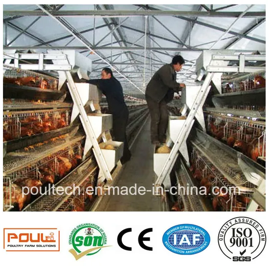 Poultech/Poultry Farm Equipment Layer Chicken Cage