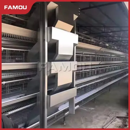 Famou Poultry Farm Equipment Corrosion-Resistant H Type Auger Poultry Feeding System