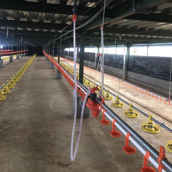 Mozambique Broiler Chicken Farm Ground Breeding System with Automatic Feeding Line & Automatic Drinking Line