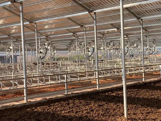 Agricultural Equipment Hot-DIP Galvanized Beef Cattle Headlock