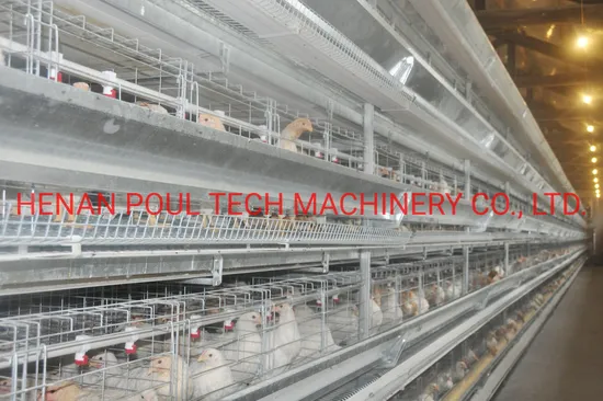 Durable Hot Galvanized H-Frame Layer Cage for Hens Lay Eggs