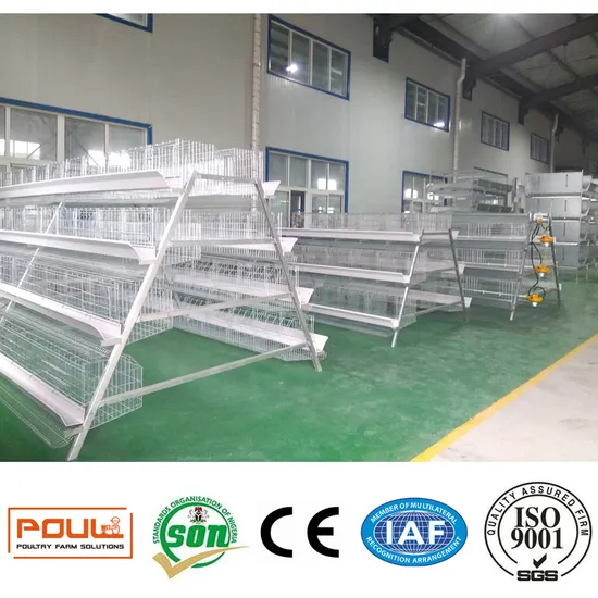 Hot Glavanized Layer Farm Chicken Cages