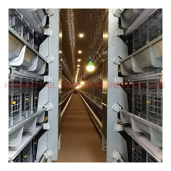 Layer Chicken Better Cage for Poultry Farm