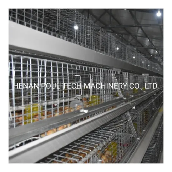 a Type Poultry Equipment for Broiler Chicken Cages System for Sale