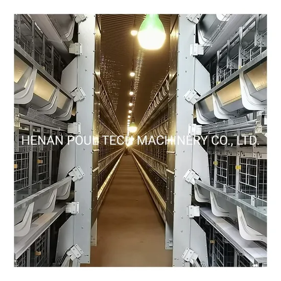 2022 Supply Completely Automatic Laying Hen/Egg Layer Battery H Type Chicken Cages System