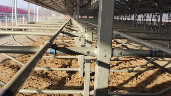 Cow Farm Galvanized Livestock Machinery Agricultural Machinery Cow Free Stall