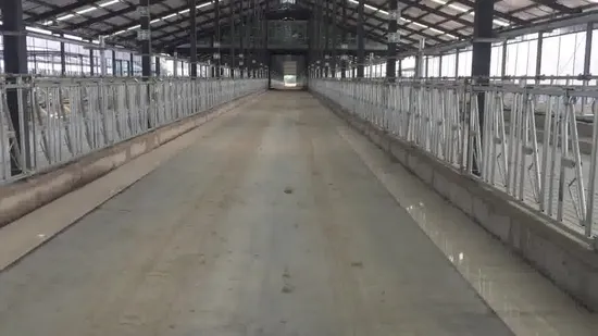 Dairy Farm Livestock Machinery Easy Operation Cow Head Rail Headlock