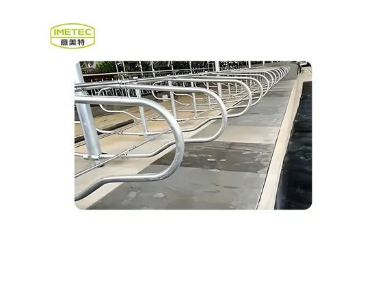 Glavanized Cow Free Stall Easy Install Prefabricated Cattle Farming Barn Cow Hangar Shed Steel Structure
