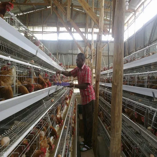 High Quality Poultry Egg Layer Chicken Cage for Pakistan