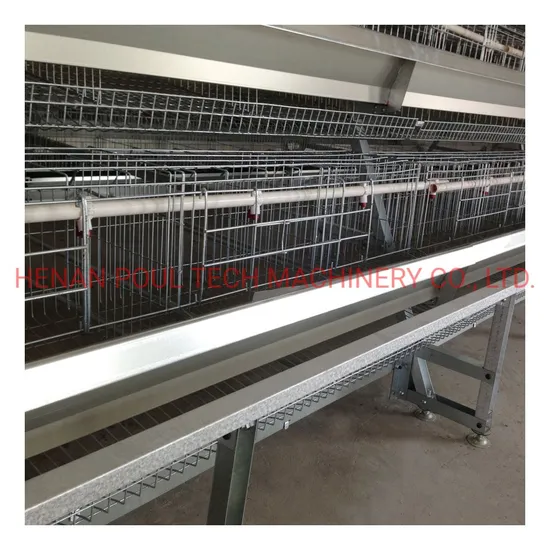 a Frame Stable Automatic Chicken Cage Equipment