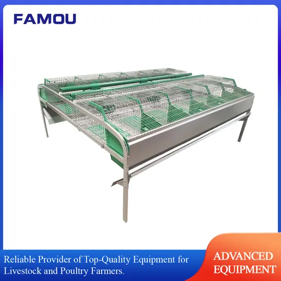 Automatic Feeding Rabbit Cages with Steel Wire and Slatted Floor for Breeding