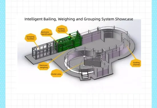 Factory Direct Selling Intelligent Weighing and Grouping System for Cow Intelligent Dairy Cow Grouping System