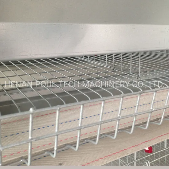 Poultry Chicken Farm Layer Hens Cage with Automatic System