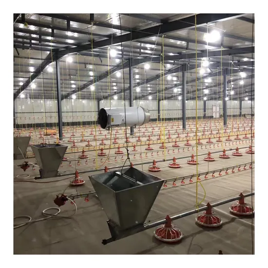 Full Automatic Deep Litter System Broiler Raising Chicken Cage Farm