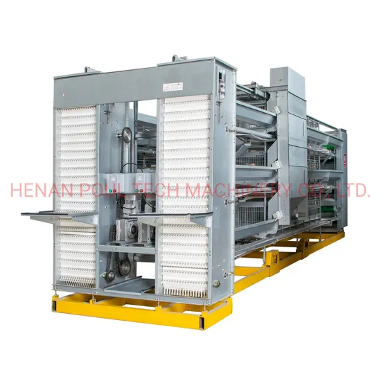 Long Lifespan Poultry Farm Equipment Layer Egg Hens Cage