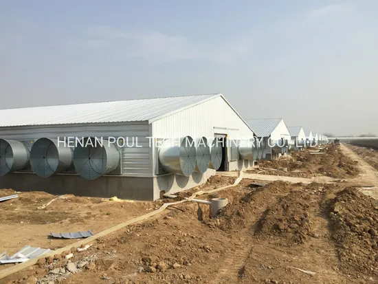 Chicken Farm Feeding and Drinking Equipment