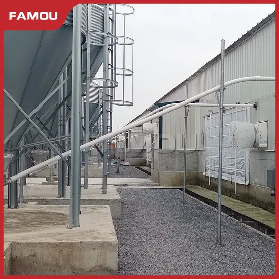 Famou Poultry Equipment Automatic Auger Feeding System for Specialty Feeding System