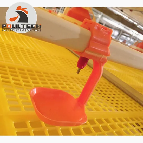 Small Chicken Flooring Raising System for Chicken Coop
