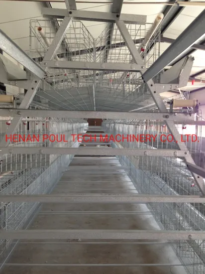 Battery Layer Cage for Poultry Farm Equipment on Sale