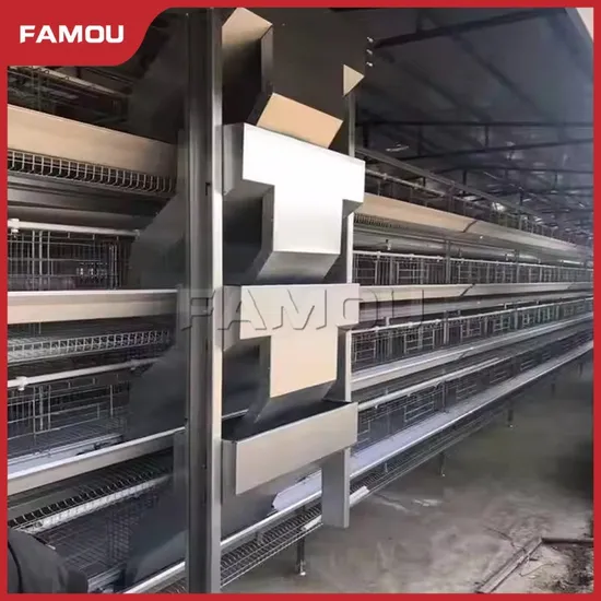 Famou Poultry Control Shed Equipment Energy Saving H Type Farm Automatic Feeding System