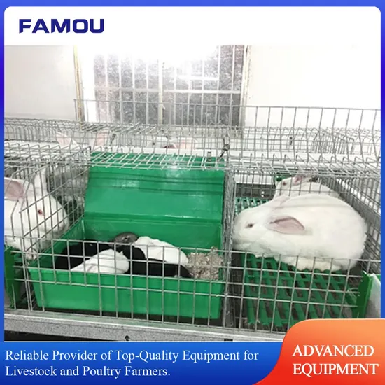 Layered Metal Rabbit Hutch with Plastic Slatted Floor and Feeder
