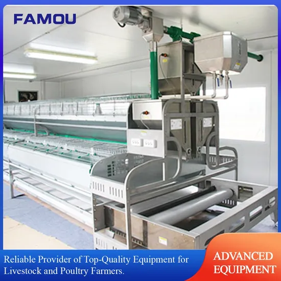 China Source Commercial Farm Rabbit Cage with Slatted Floor and Automatic Feeder System