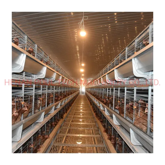 Egg Layer Farm Chicken Cages Poultry Equipment in Qatar, Doha