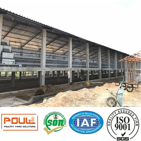 Galvanized Automatic Layer Cage Farm Facilities