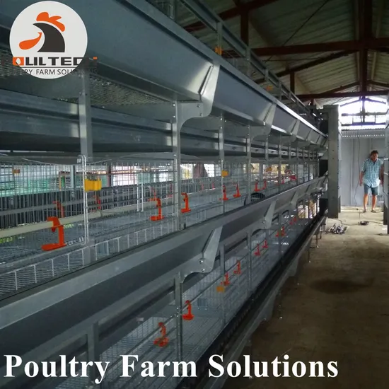 Multipurpose Pullet Chicken Cage Farm Equipment
