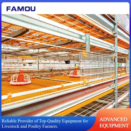 Automatic Poultry Equipment Steel H-Type Broiler Cage System with Ventilation Fan Technology