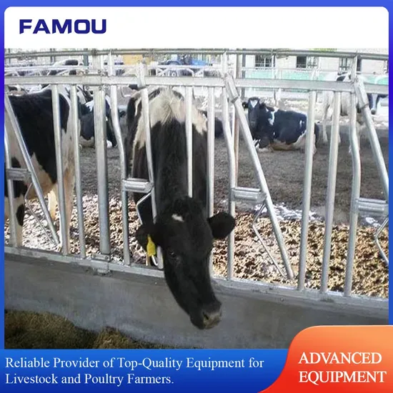 Premium Steel Hot DIP Galvanized Cattle Headlock Fence Equipment for Dairy Farm Use