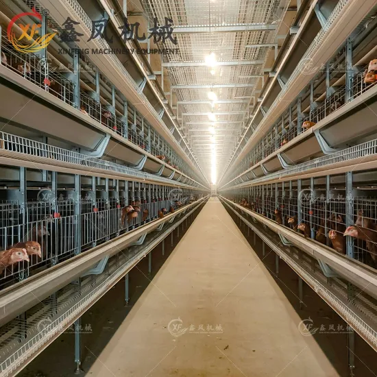 Reliable Chicken Cage Layer Cage 4 Tier Chicken Cage for Healthy Hens