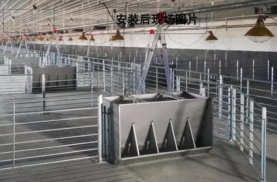 Livestock Durable 304 S. S Customized Feeding Line Equipment Breeding Trough