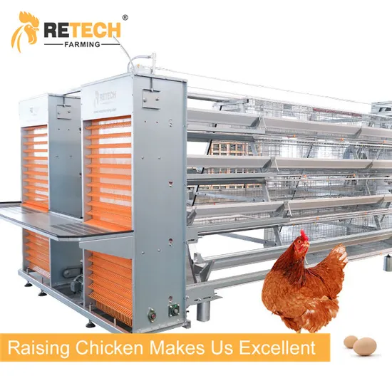 Poultry Farm Equipment A Type Layer Chicken Battery Cages in Kenya