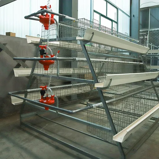 Custom Type a Poultry Farming Livestock Machinery Hot DIP Galvanized Hen Cage Layer Chicken Cage