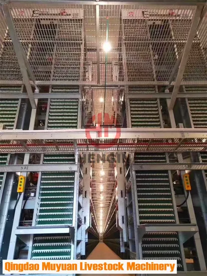 Automatic Egg Chicken Layer Livestock Machinery/Equipment for Poultry Farm