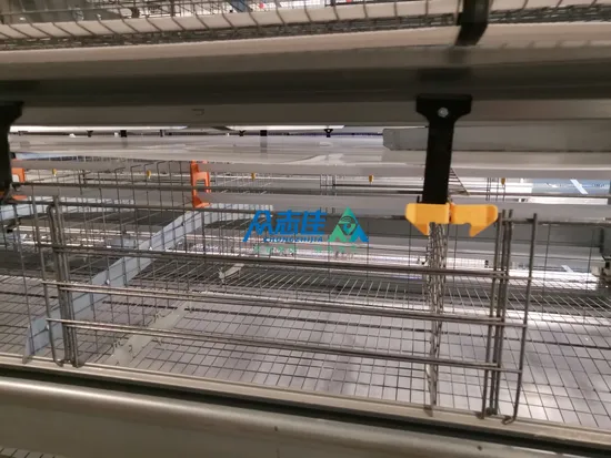 Layer Broiler Chicken Brooder Day Old Chick Battery Pullet Cage H Type Automatic Baby Multifunctional Provided Chicken Coop