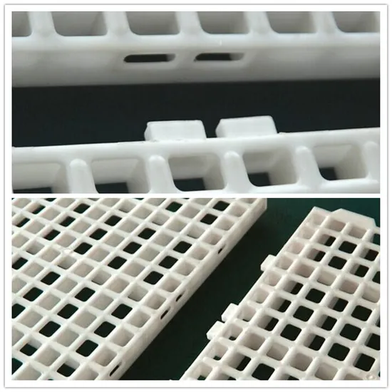 Poultry Farm Equipment High Quality Plastic Slat Floor System for Chicken House