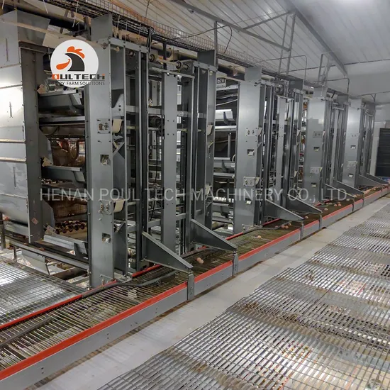 Poul Tech Cage à Couches Poule Volaille Dans La Ferme La Ferme Avicole Poule Pondeuse