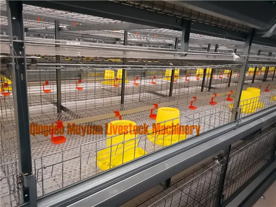 Feeding Trough Poultry Farming Livestock Equipment for Chicken Broiler Farm