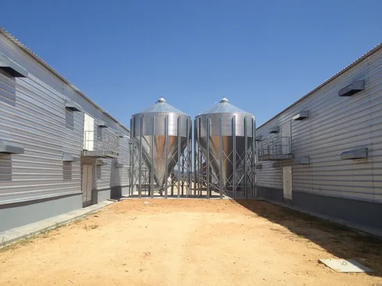 The New Design Automatic Poultry Equipment for Africa