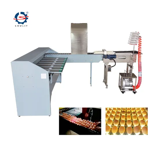 Factory Price Egg Cleaning Grading Machine/Sorting Egg Grader